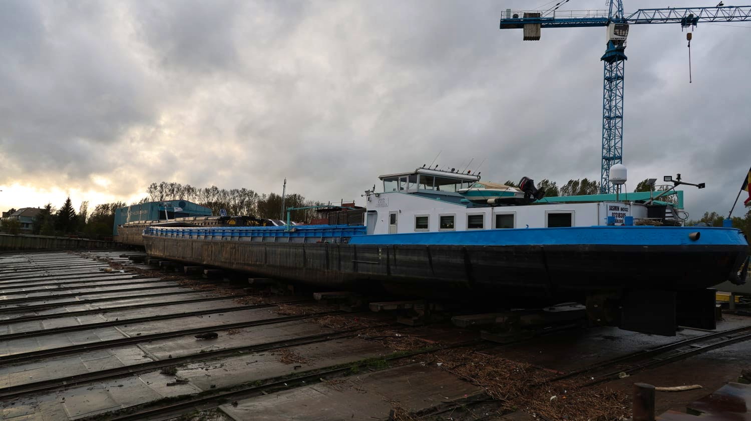 Jasmin — thumbnail 4